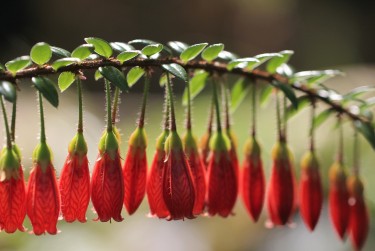 东莞黄江私人快速借钱网，轻松解决资金难题