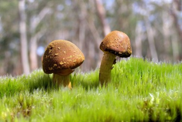 东莞黄江私人老板放款：轻松融资的秘密通道